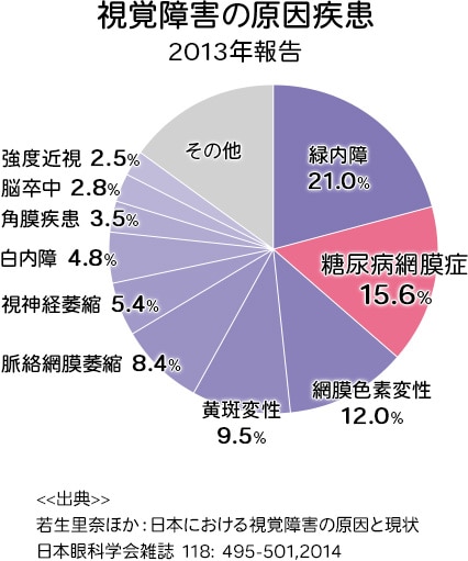 視覚障害の原因疾患