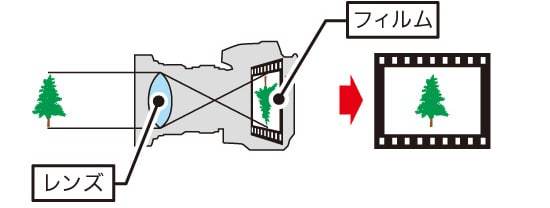 人の仕組みとカメラの仕組みの比較図