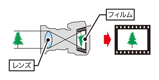 ものが見える仕組み　カメラの仕組み